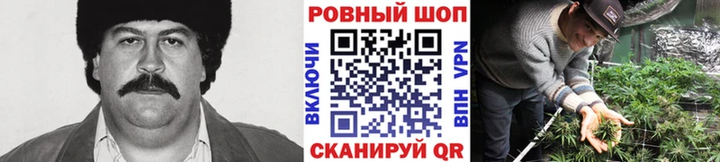 Виды наркотиков купить Учалы ГАШИШ  КОКАИН  A-PVP  Псилоцибиновые грибы  hydra ССЫЛКА  МЕФ 