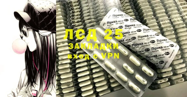 ешки Аркадак
