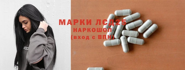 ешки Аркадак
