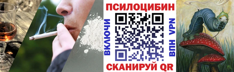 Псилоцибиновые грибы Psilocybe  мориарти как зайти  Учалы 